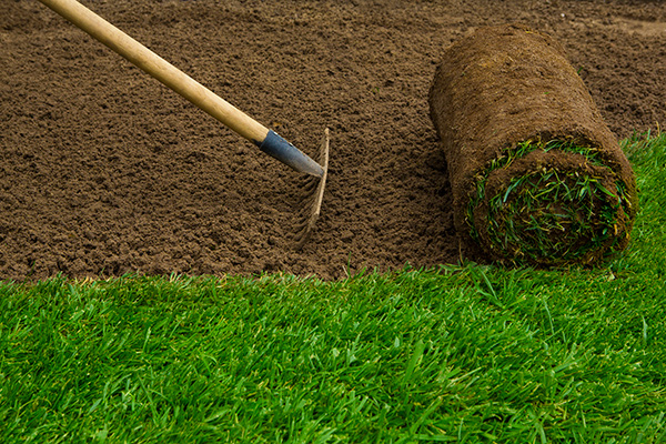 sod installation