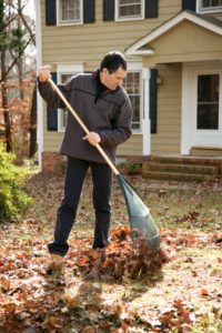 Discover how to prepare your lawn for the changing season. 