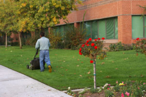 Discover the advantages of commercial landscape maintenance! 